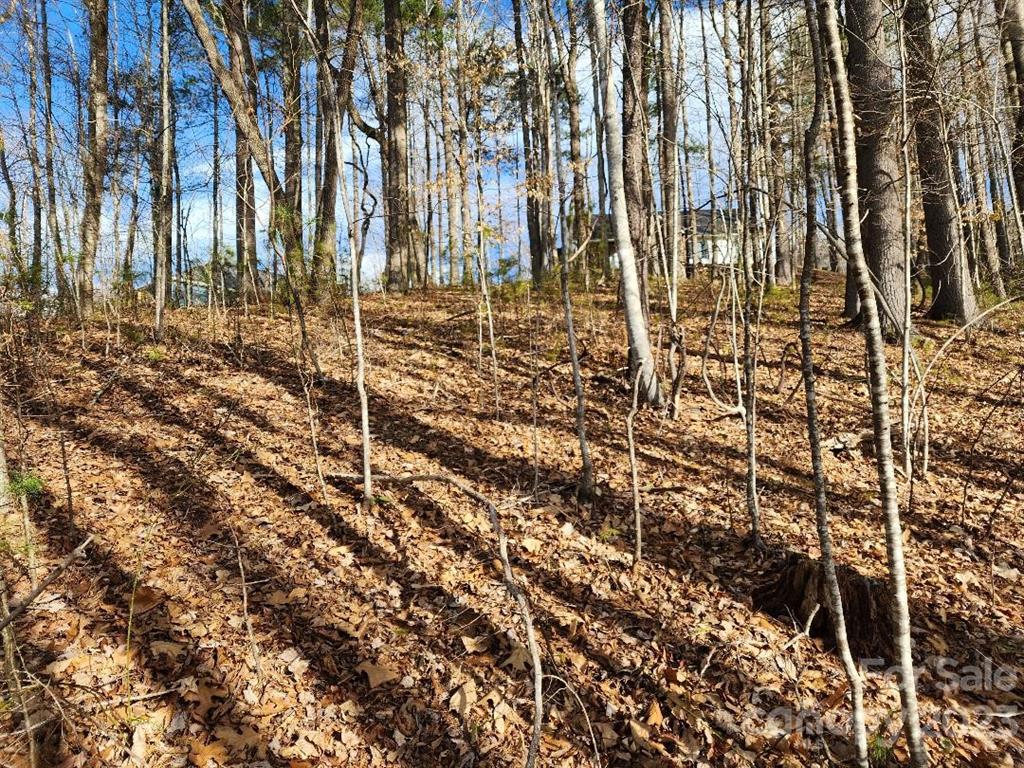 00 Barebridge Drive 16