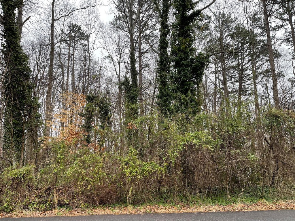 0 Rock Springs Circle 32