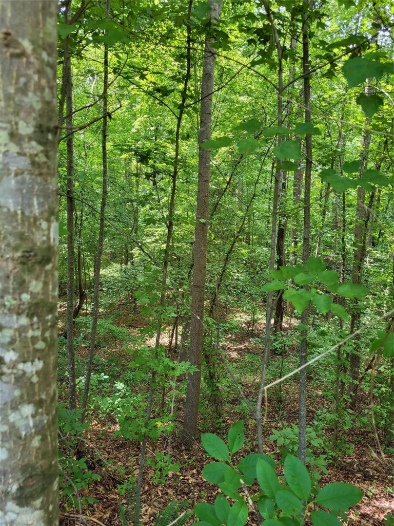 Lot 22 Weatherwood Drive