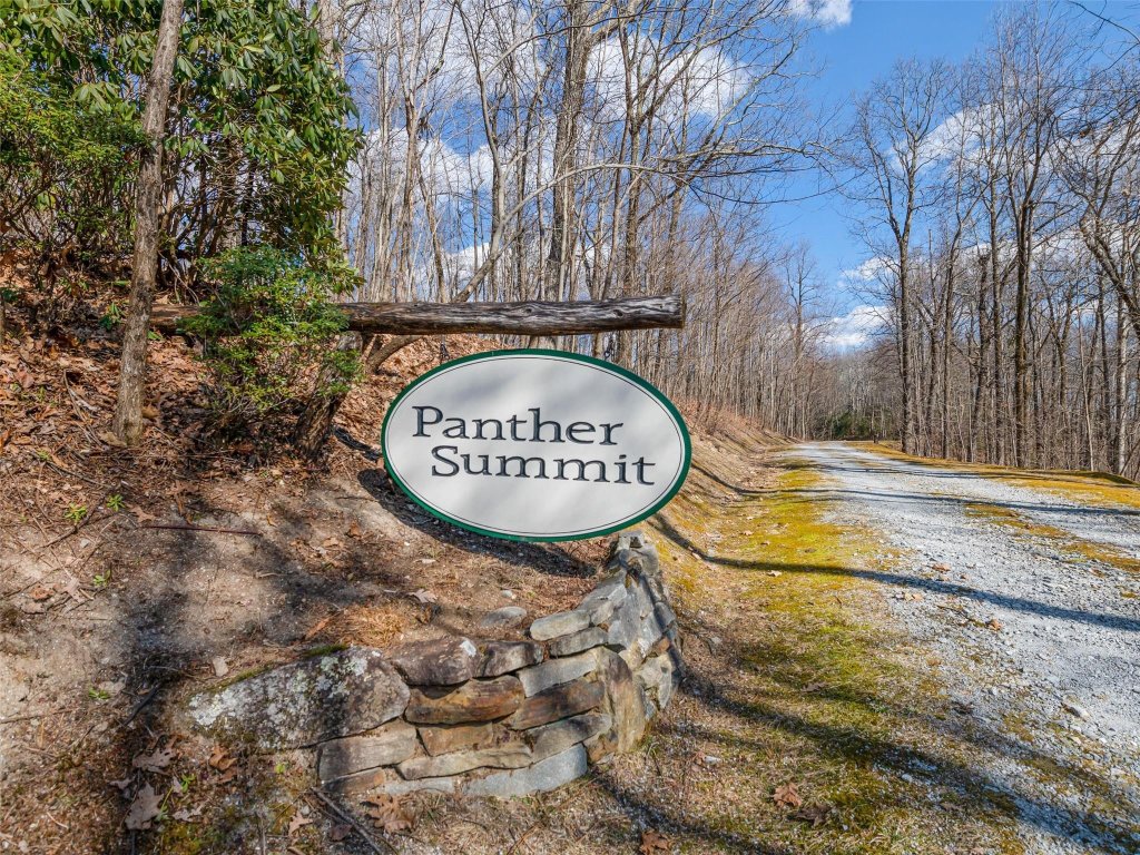 P 1 2 Panther Summit Drive