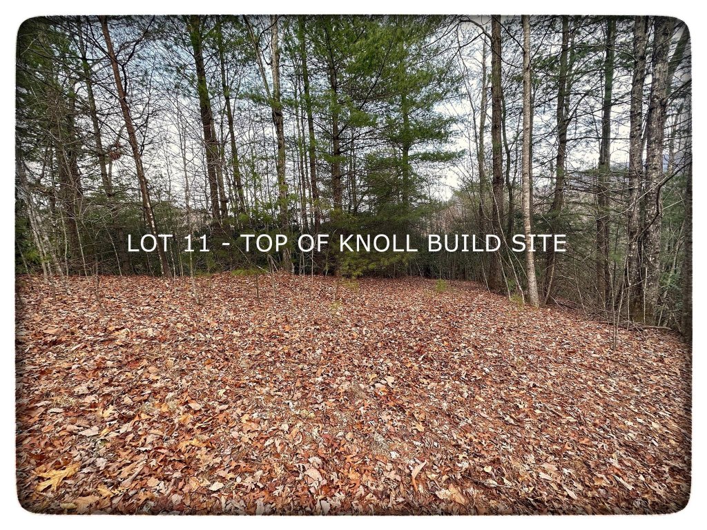 Lot 11 Silverstone Drive