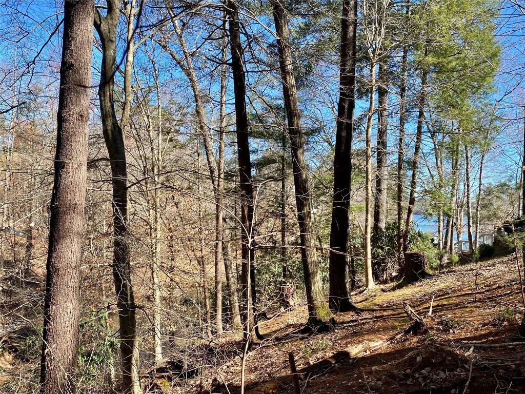 199 Lentz Landing Lane 20