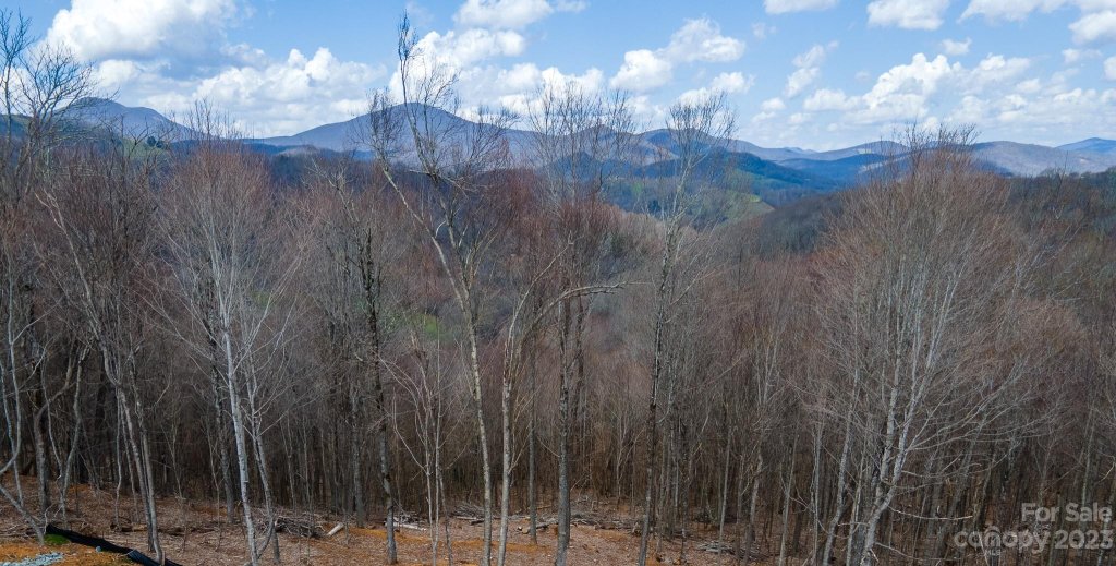 Tbd Lot 33 Poplar Forest Drive