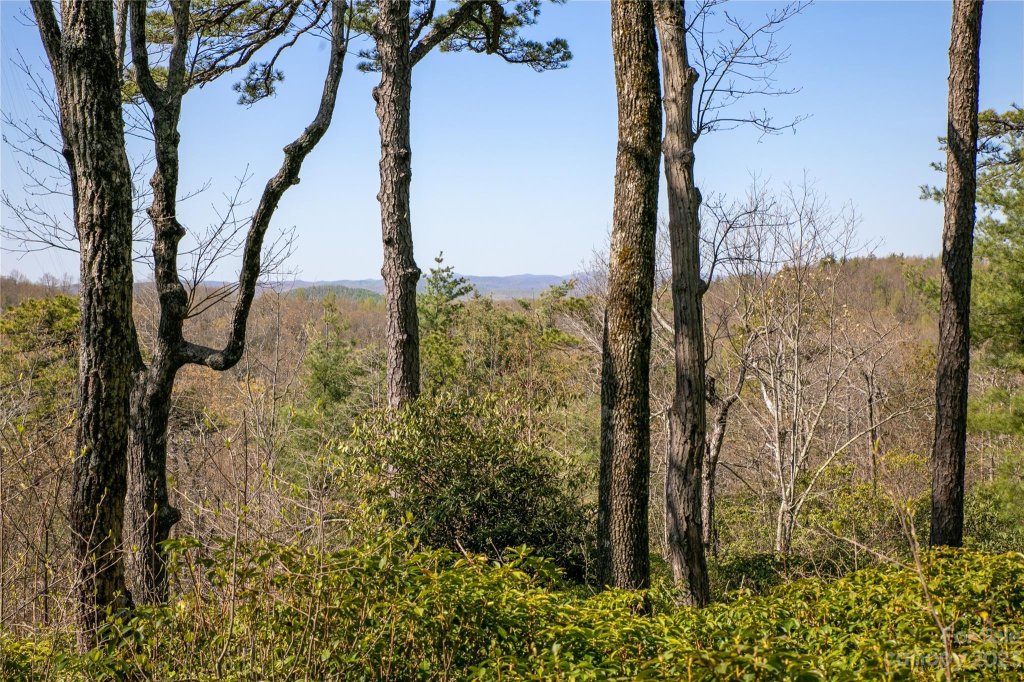 Lot 32 Sahalee Trail