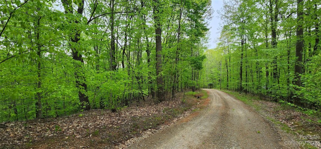 79 Apgar Road