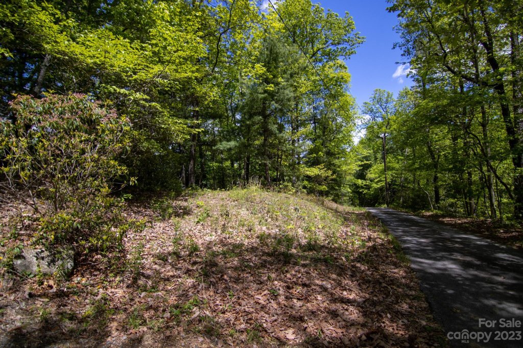 0 Foster Hill Drive 6