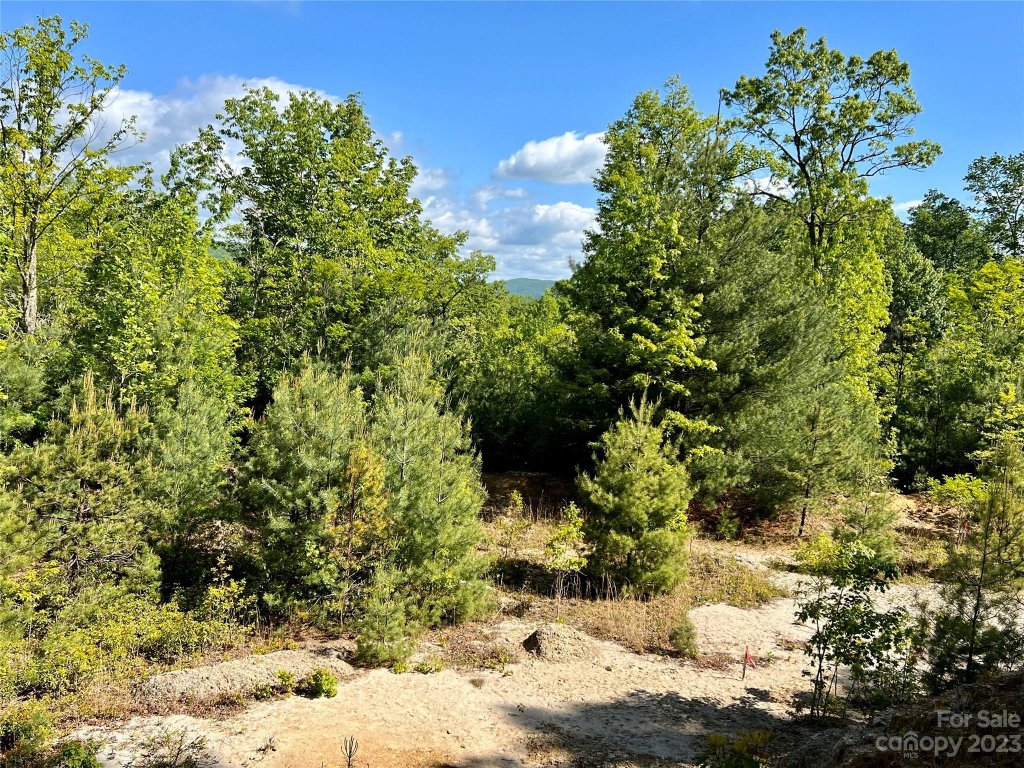 Lot 3a Forest Park Road 3A