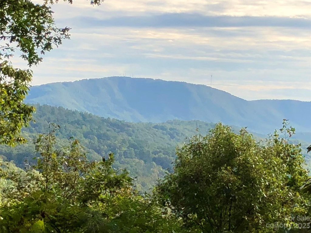 216 Bent Pine Trace 174