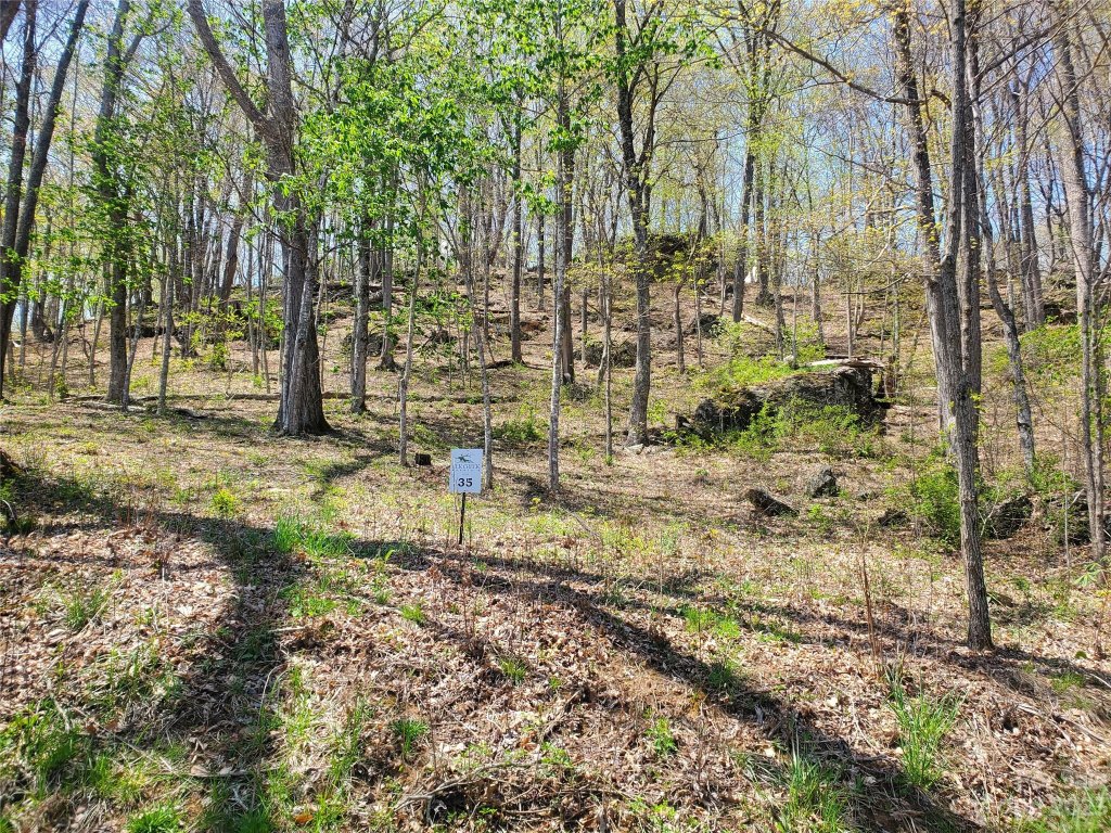 Lot 35 Soothing Waters Drive