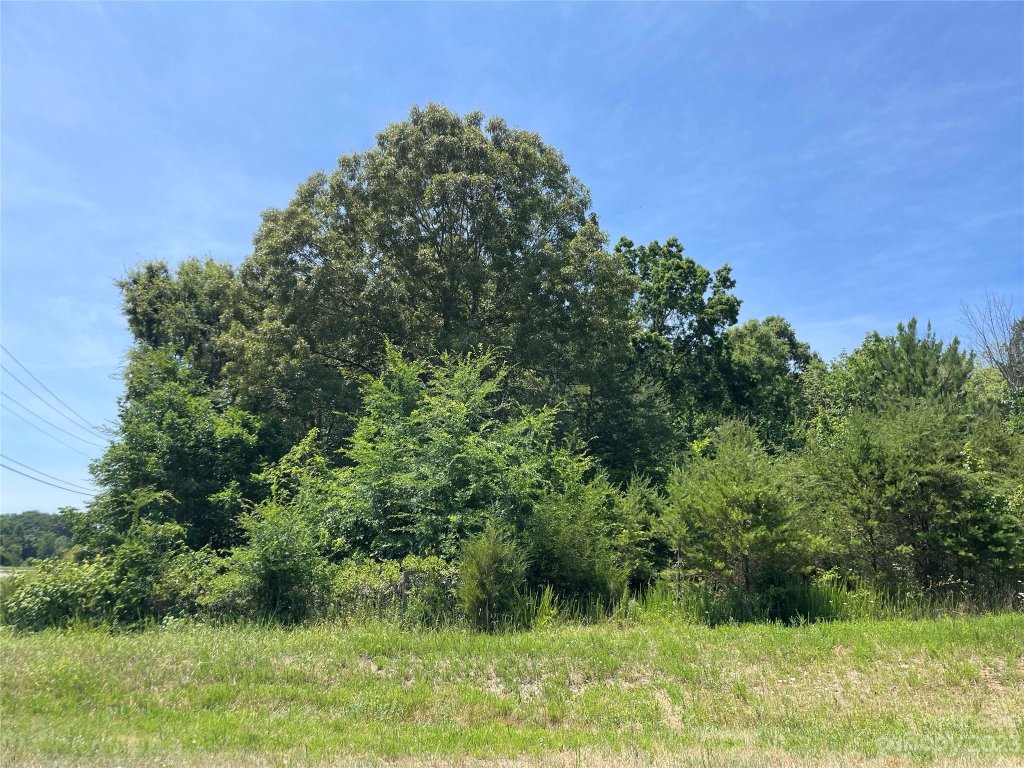 Fiber Acres, Cleveland community