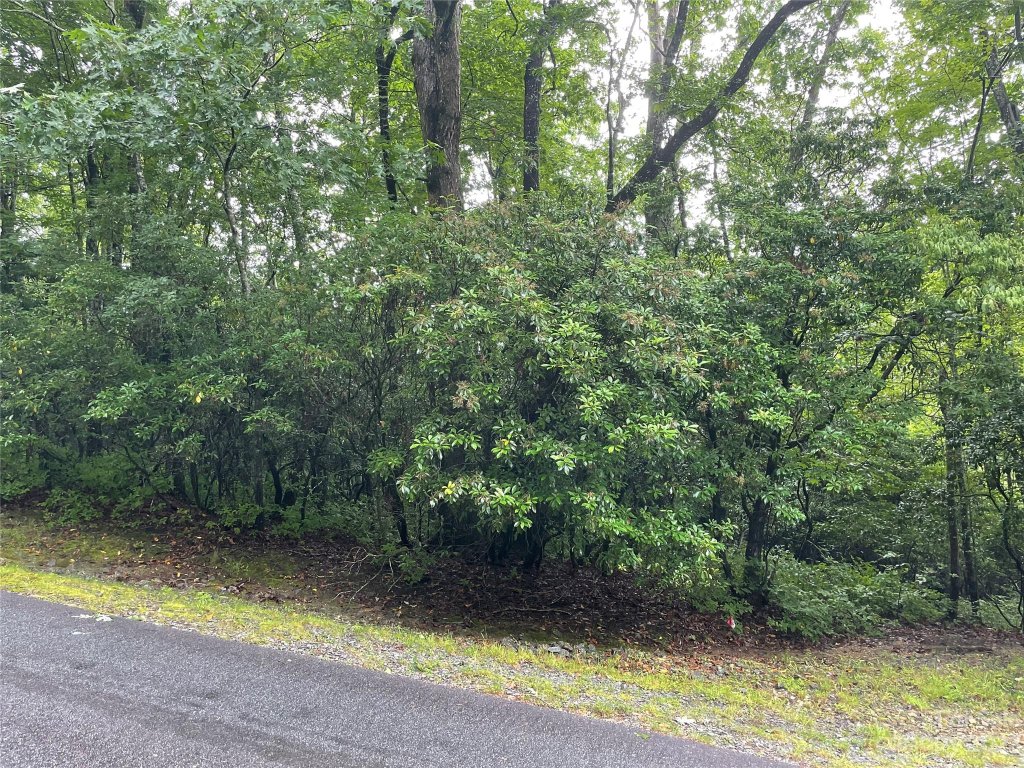 Tbd Tellico Trail 116/01