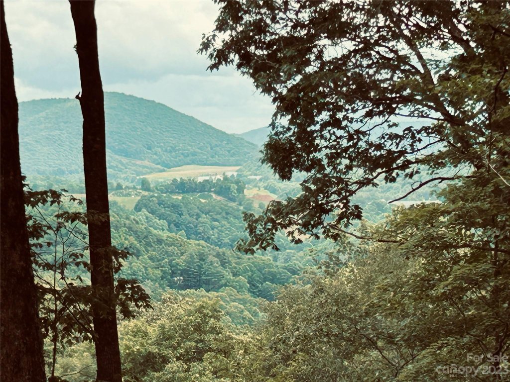 Lot 64 Poplar Forest Drive