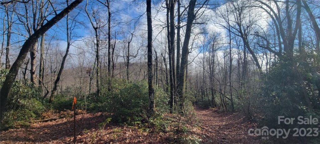 18 Deer Run