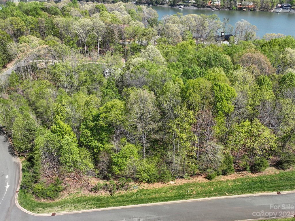 1103 Sawtooth Oak Lane