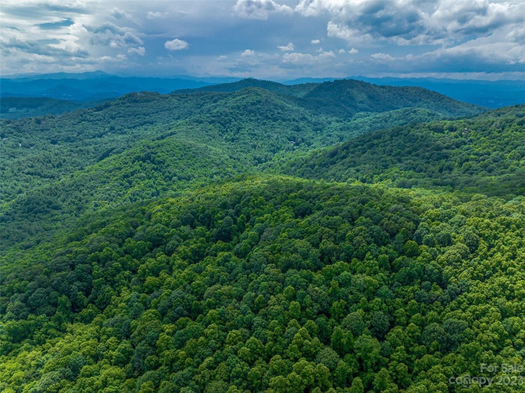 9999 4 Merrills Ridge Road