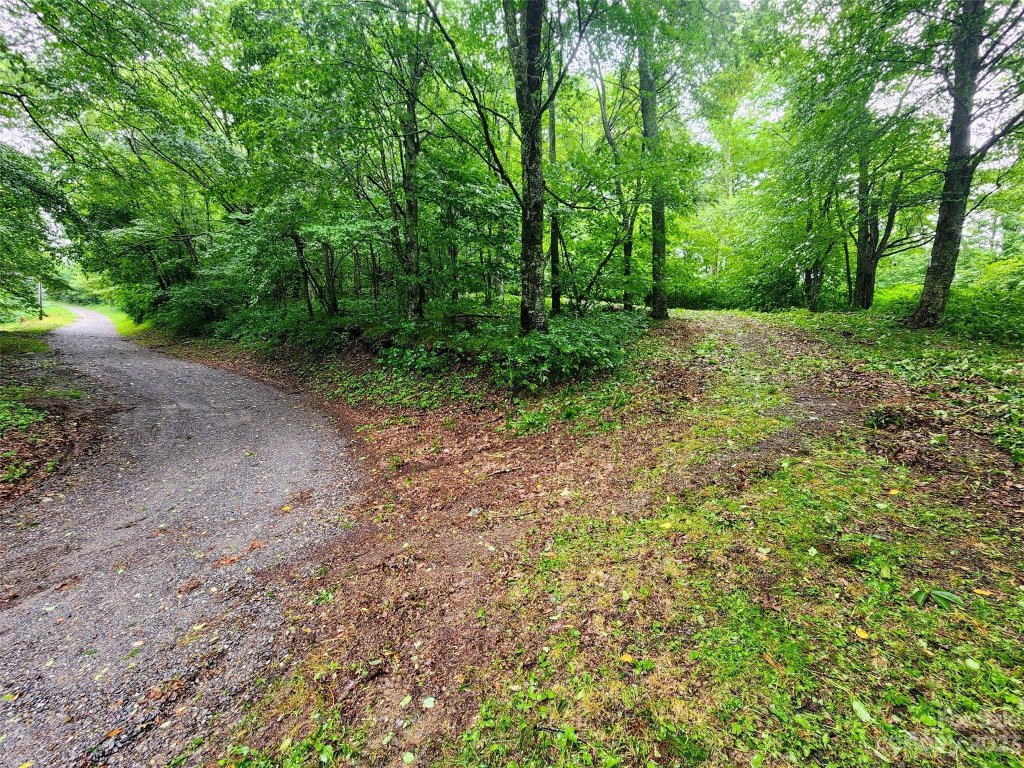 0 Spruce Patch Lane 1.82