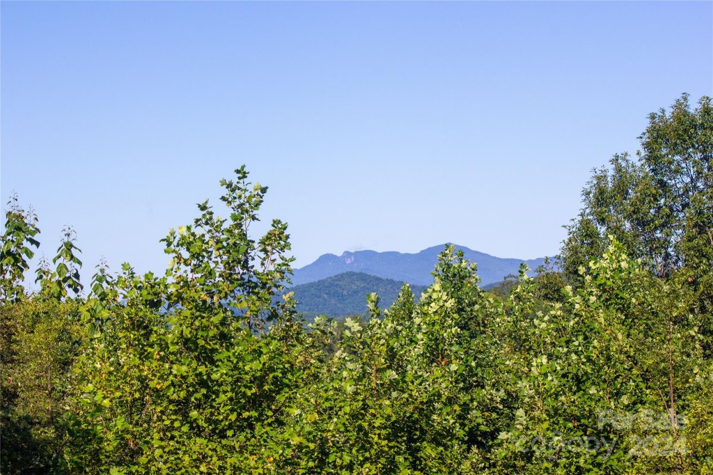 Lot 134 Fire Crest Lane