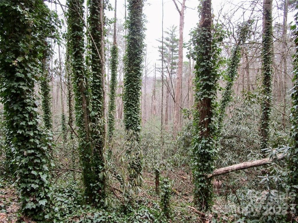 Lot 22 Toxaway Falls Drive