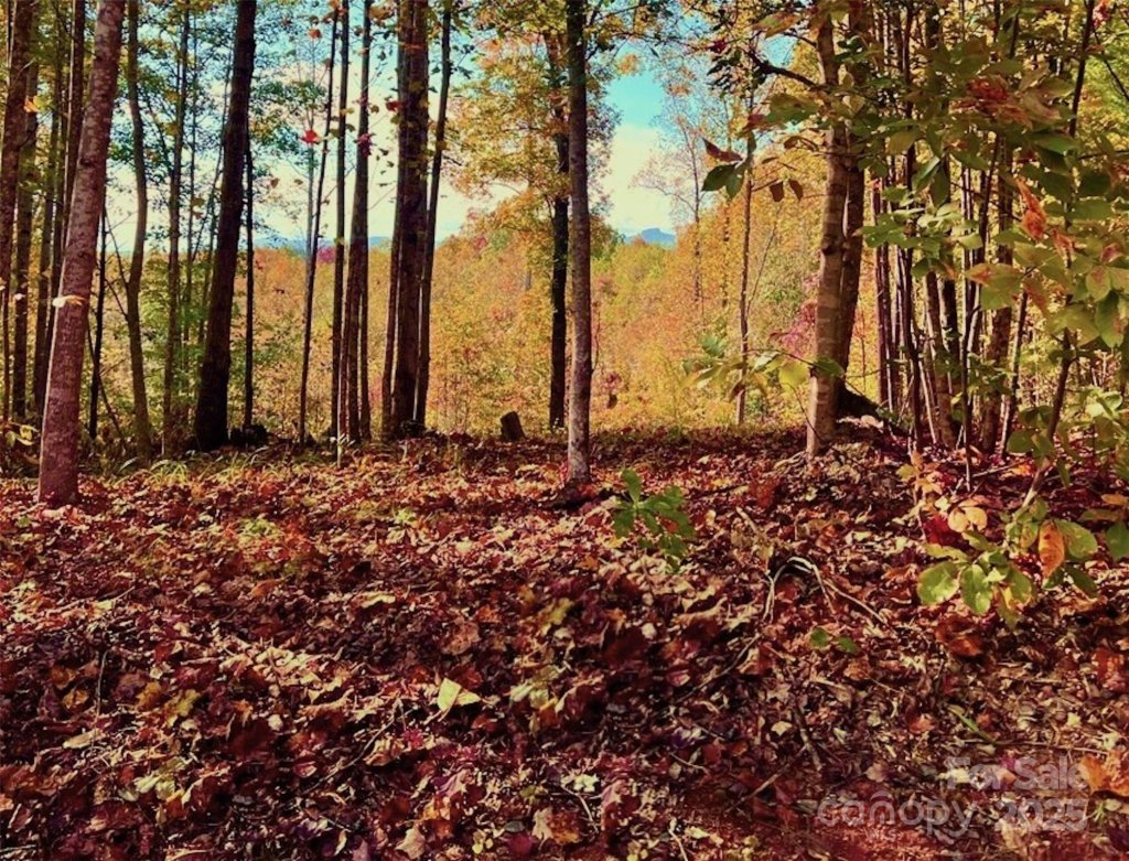 1 85 Acres Lot 925 High Valley Way