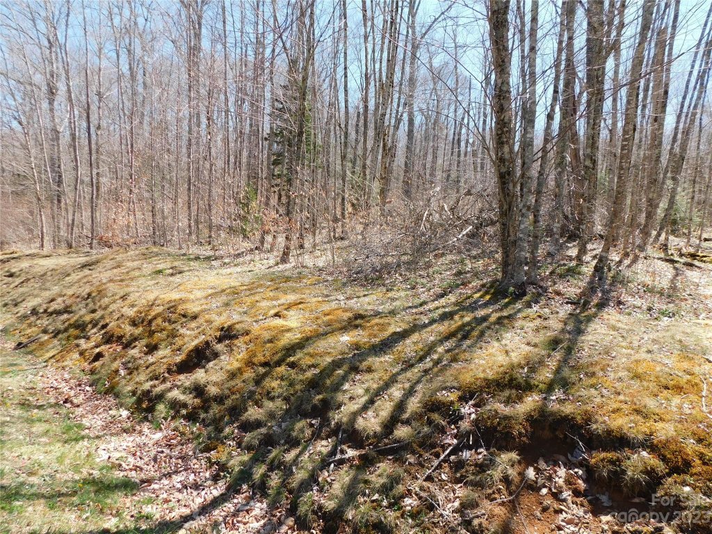 Tbd Linville River Drive 20