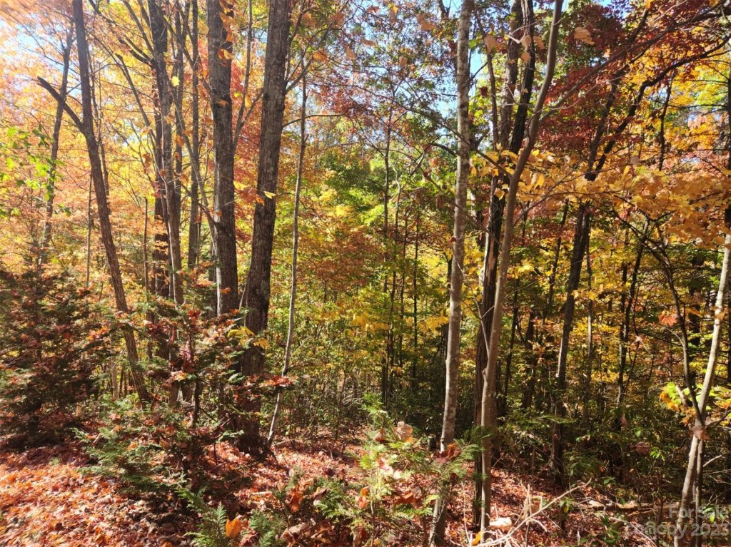 00 Angel Of The Lake Drive 17