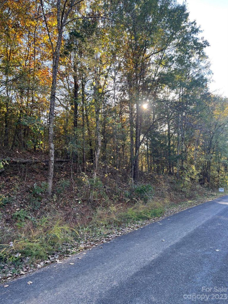 925 Silver Fox Drive