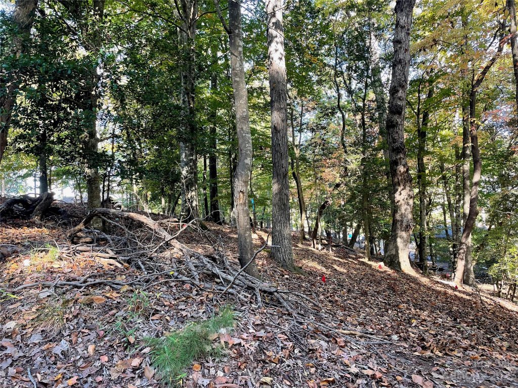 000 Deerfield Road