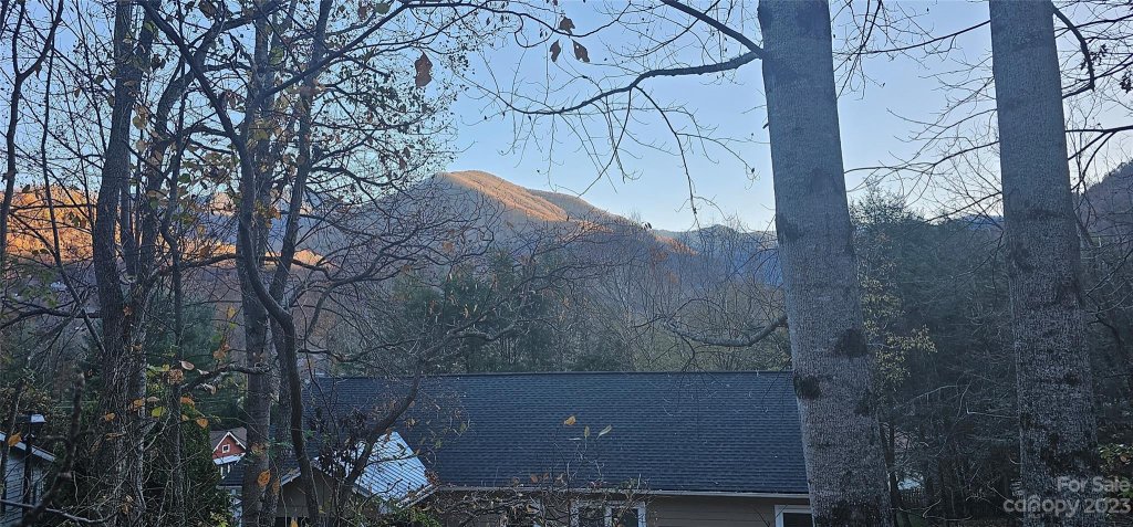 106 Silverleaf Circle