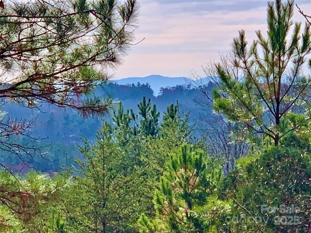 2 53 Acres Lot 602 Low Valley Way