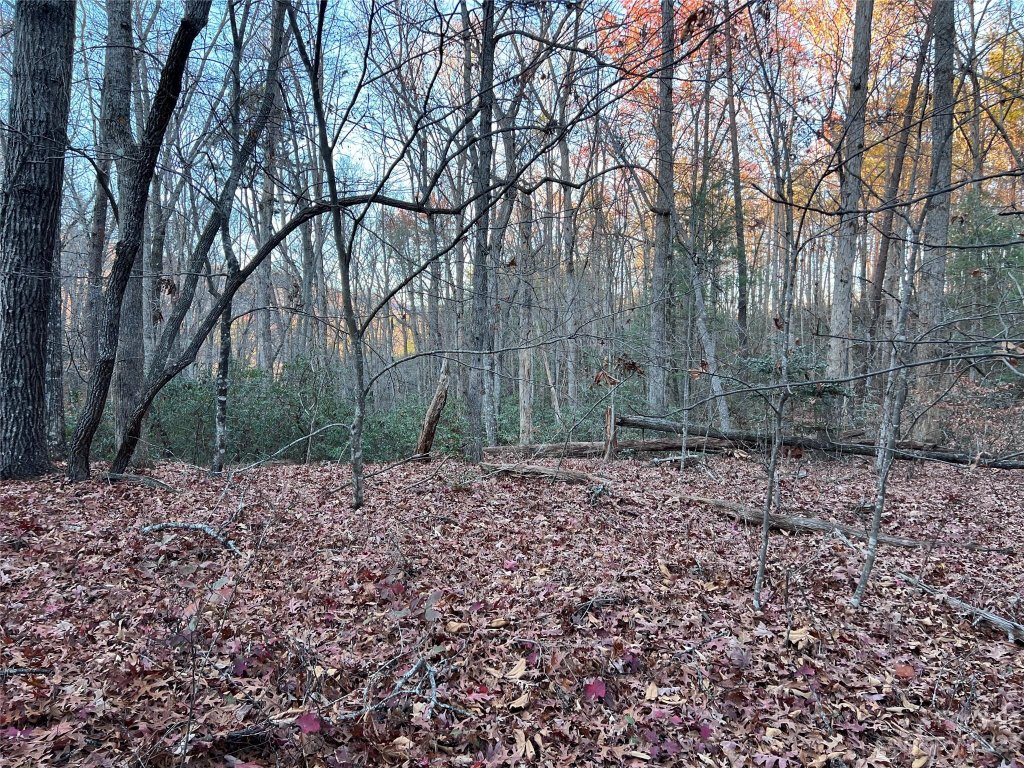 0 Rocky Mount Drive 52