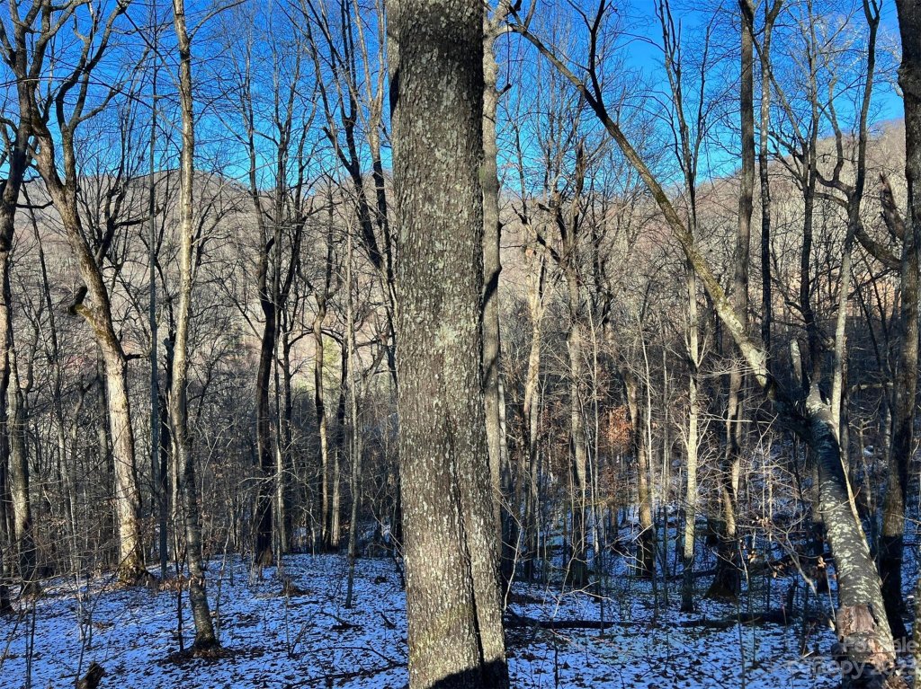 000 El Miner Drive 551