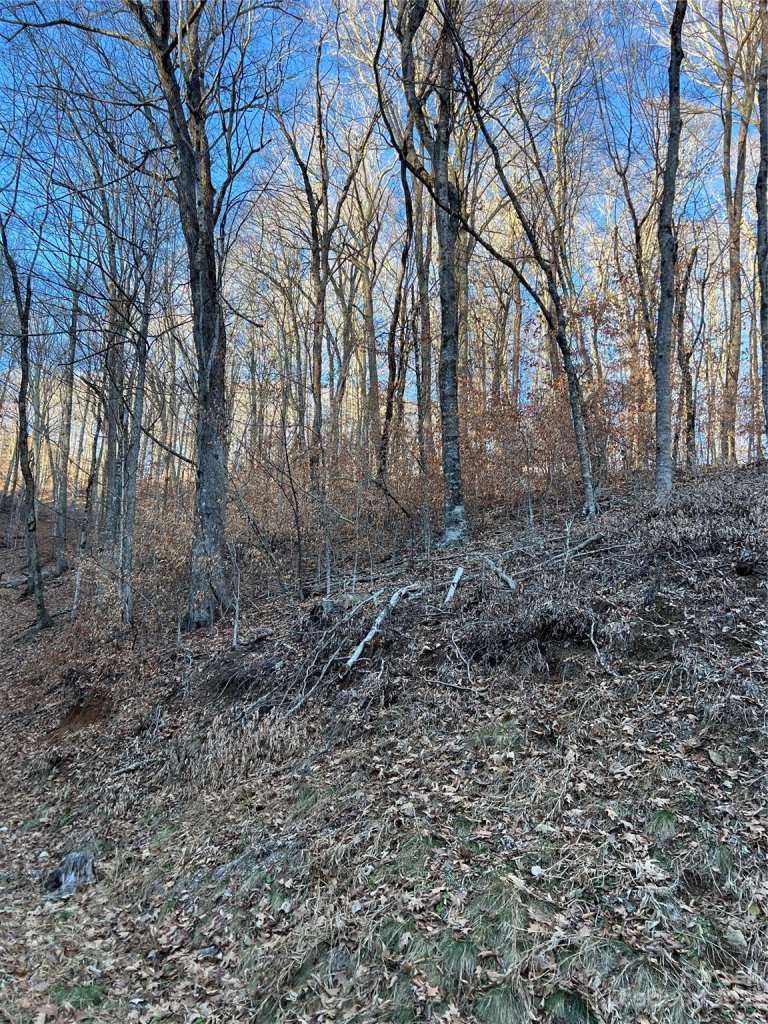 000 Chestnut Lane 80