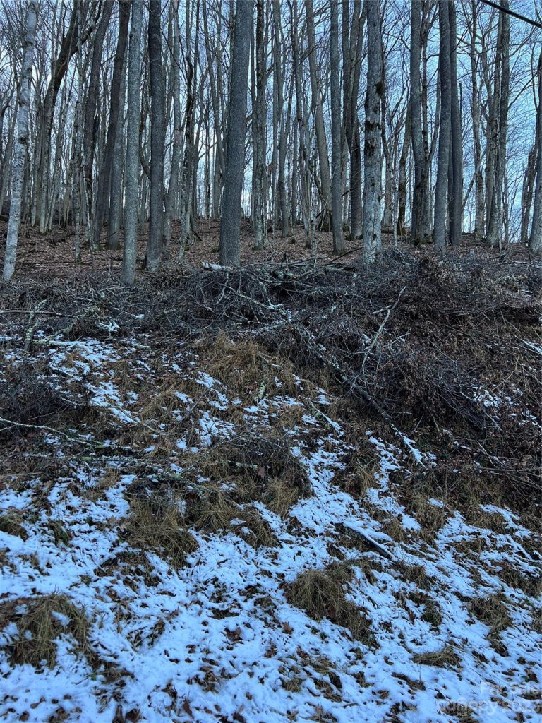 000 Puncheon Lane 151