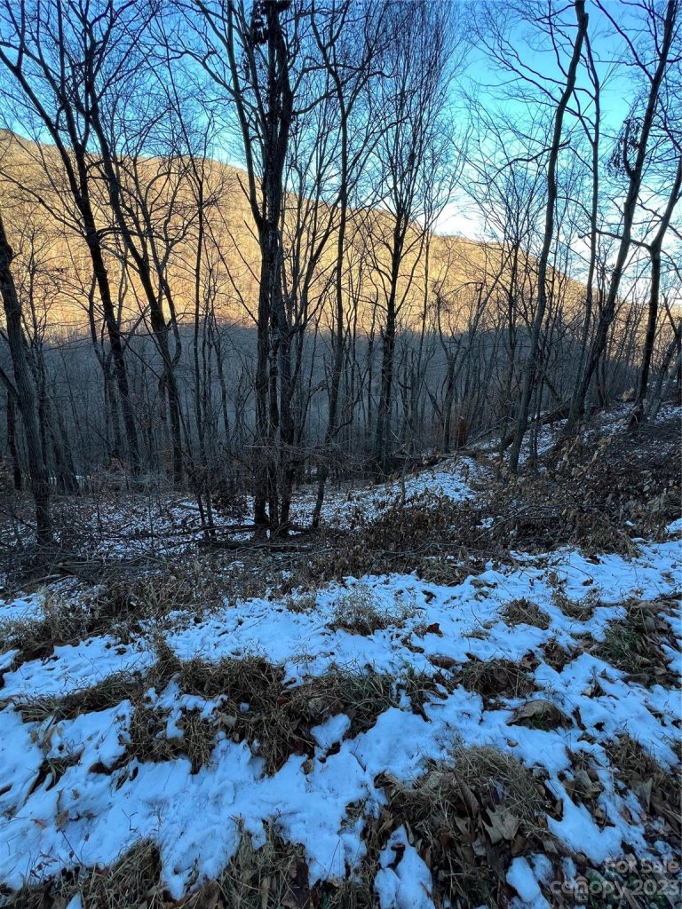 000 Puncheon Lane 170