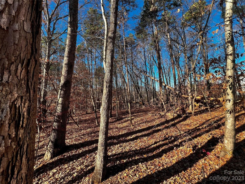 138 Copper Pine Lane 2