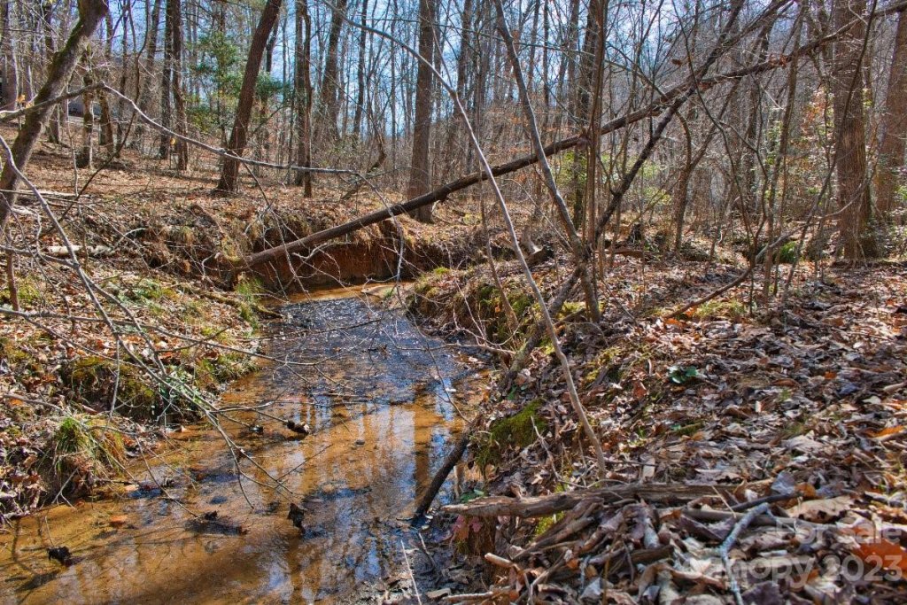 0 Woodstock Lane 170