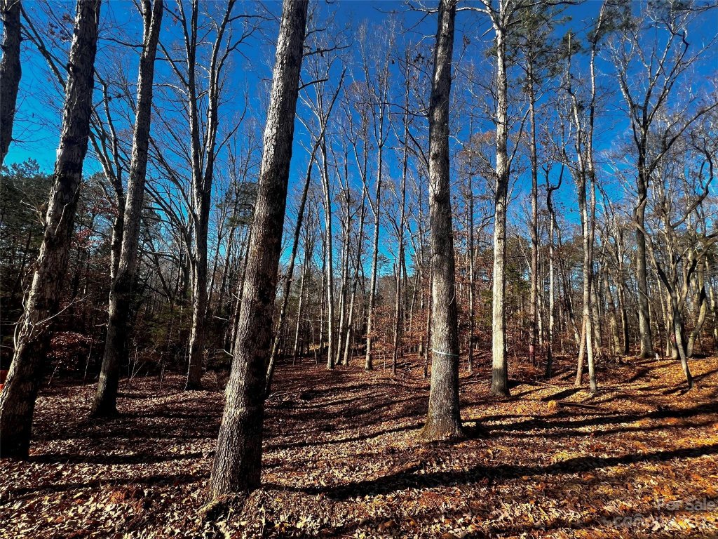 150 Copper Pine Lane 4