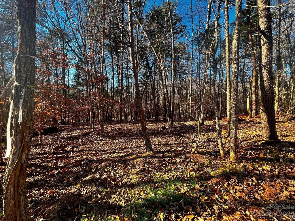 156 Copper Pine Lane