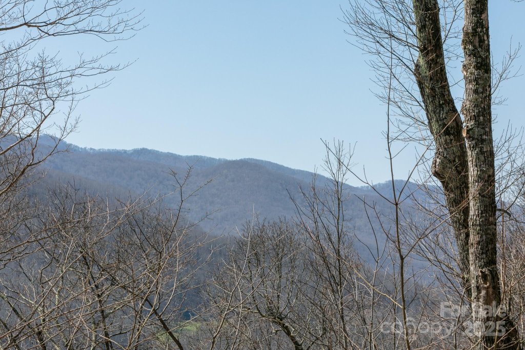 Lot 13 Austin Mountain Drive 13/3