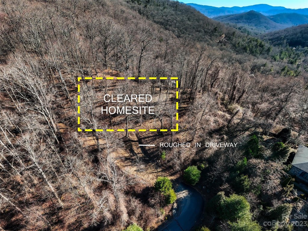 00 Flora Rose Trail 6C