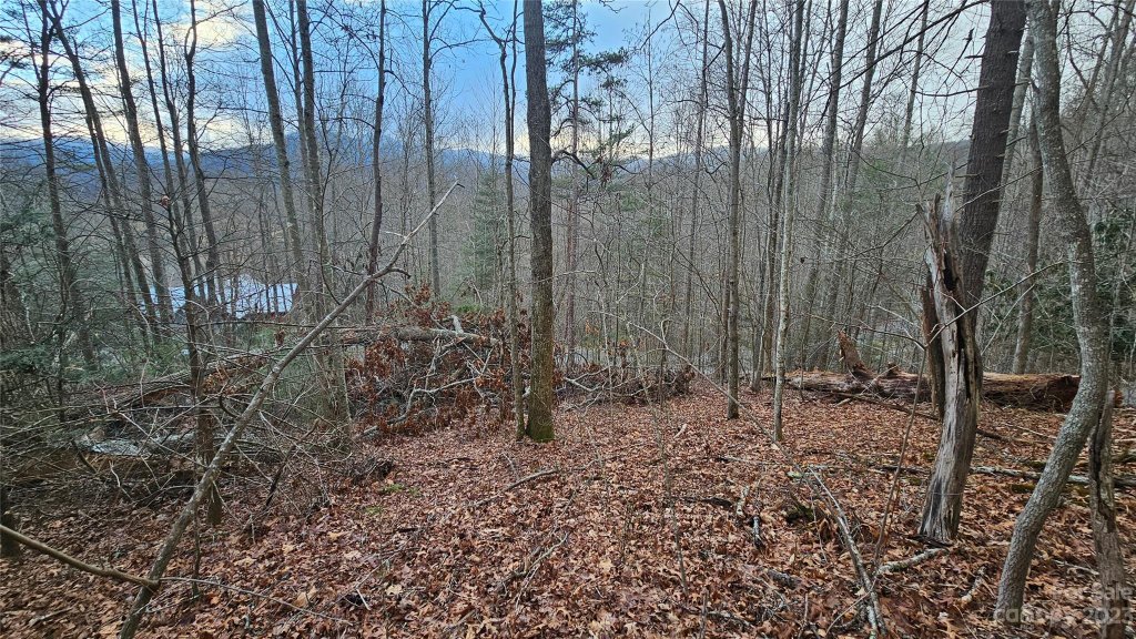 Lot 13 Seay Mountain Road