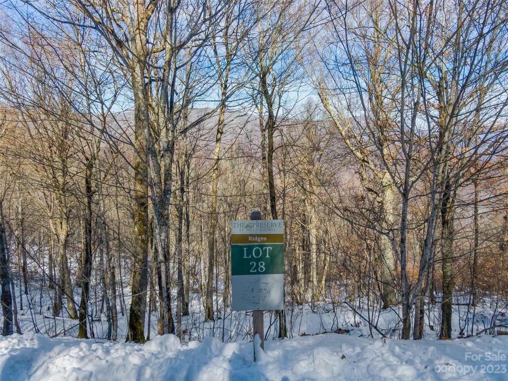 Lot 28 Black Bear Run