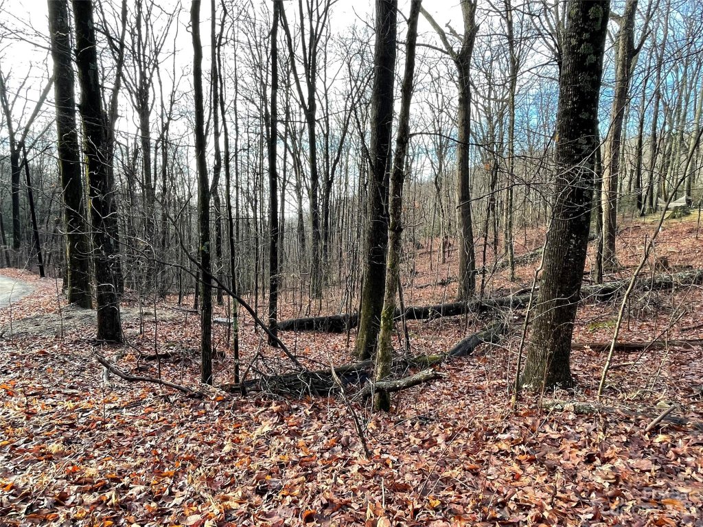 0 Hickory Acres Road 40 & 41