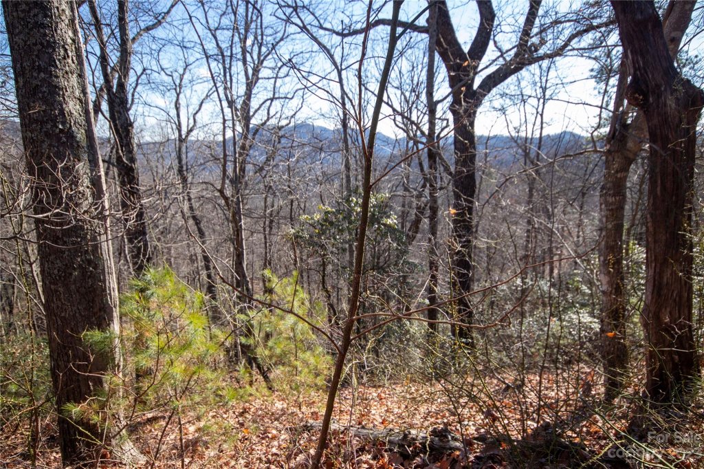 Lot 502 Fire Crest Lane