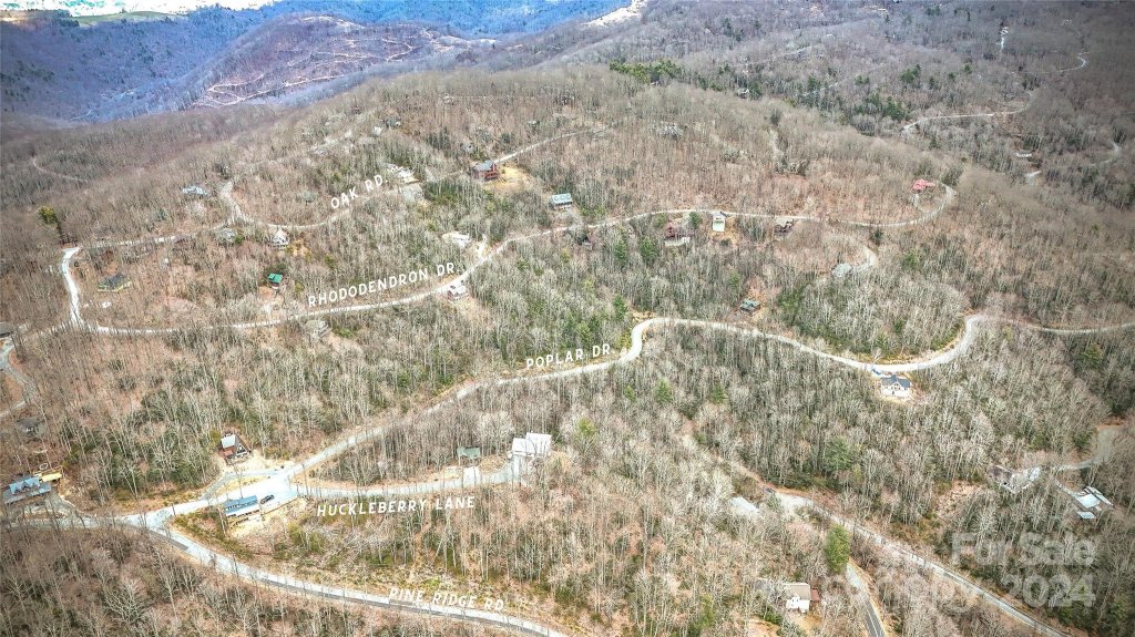 1121 Pine Ridge Road