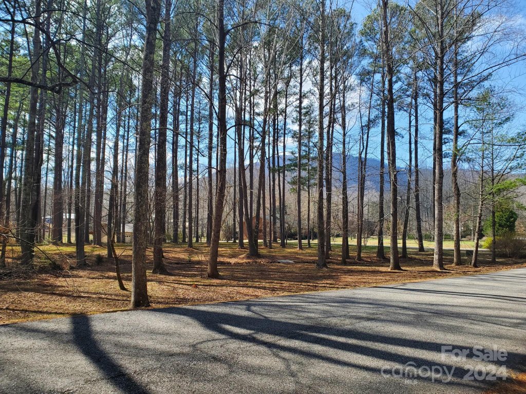 0 Fox Briar Drive 4