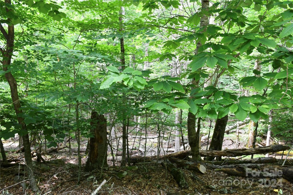 102 Blackberry Trail 235/C