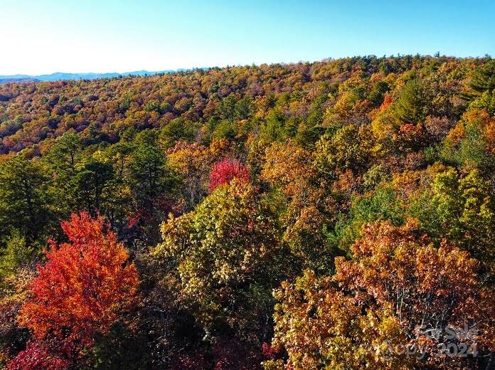 Lot D1 000 Dogwood Lane
