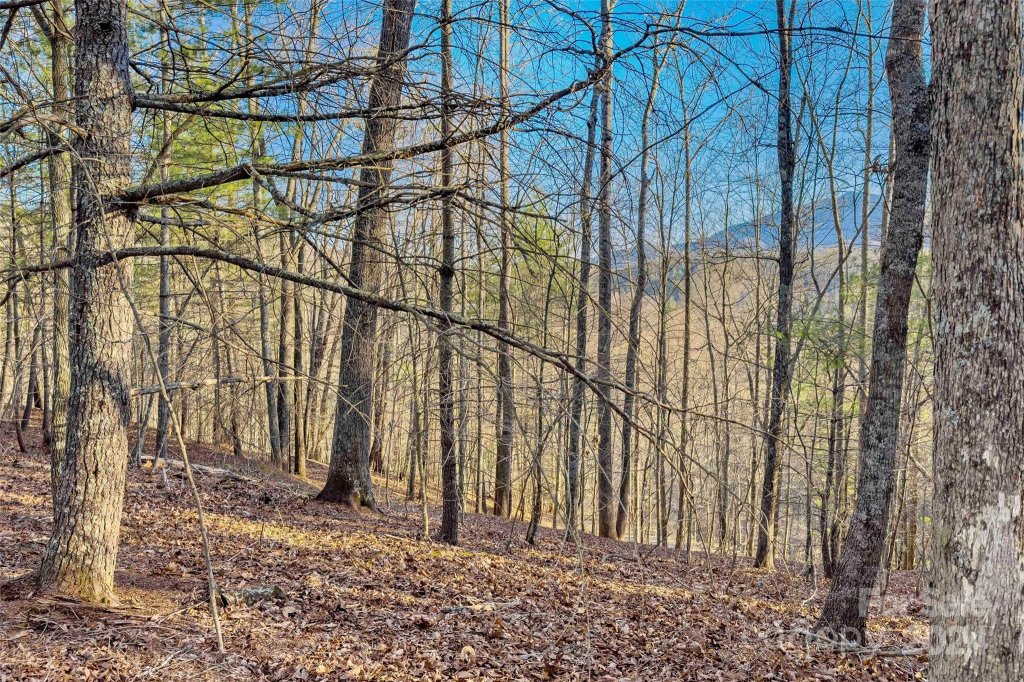 Lots 62 63 64 High Peak Drive