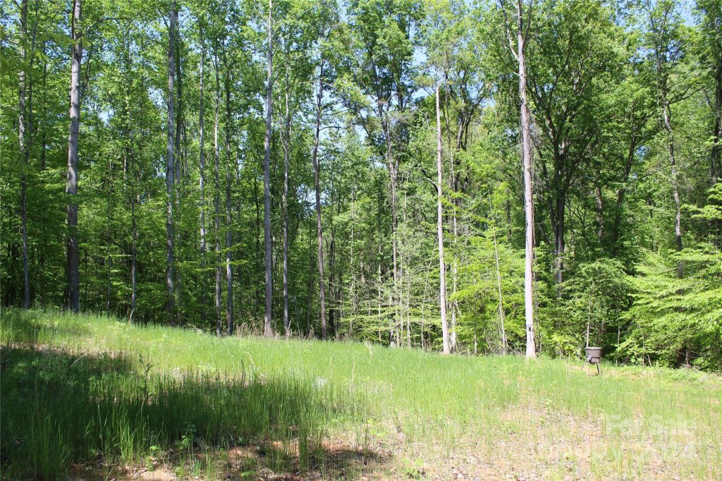 Jeff Davis, Clover community